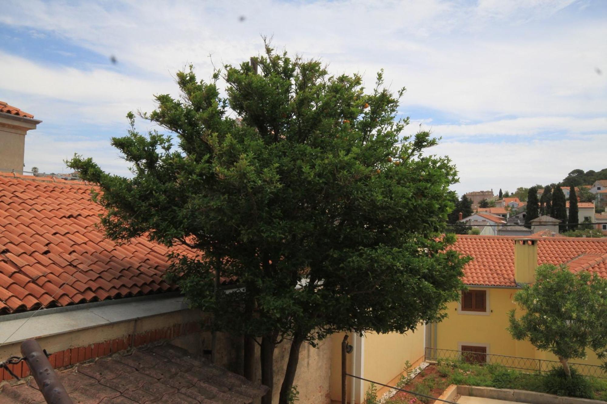 Apartments And Rooms With Parking Space Mali Lošinj Kültér fotó